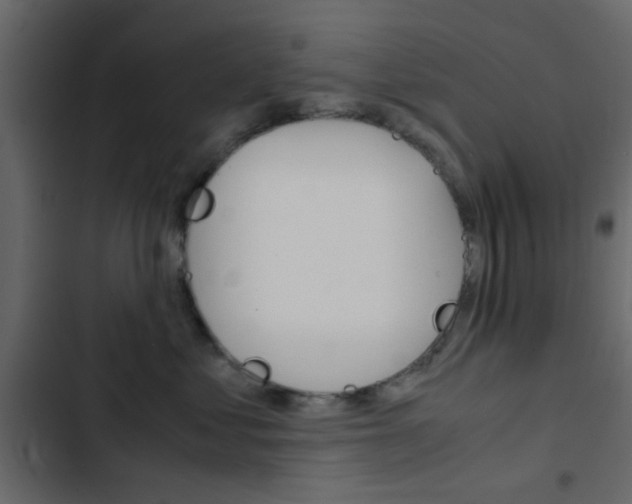 X0000103900621200809191056