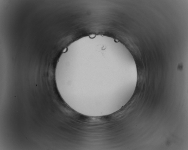 X0000103900623200809191056