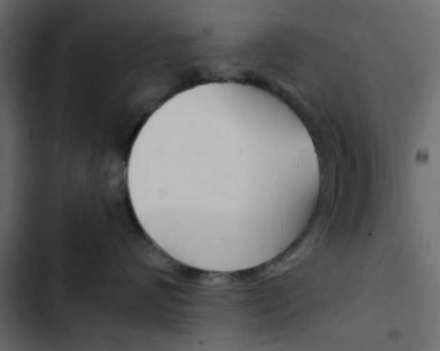X0000103900624200809191056