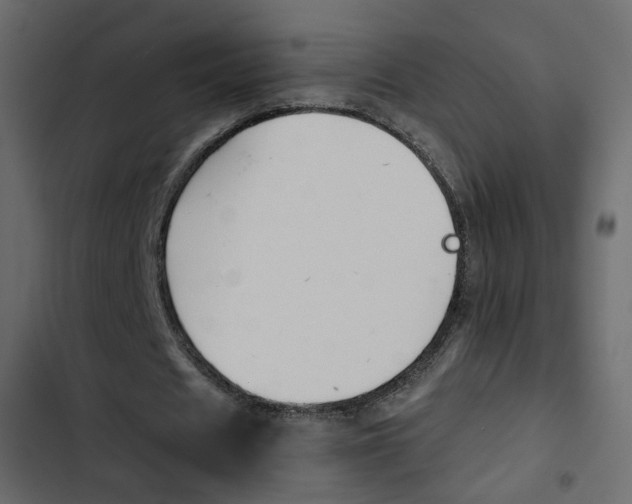 X0000103900625200809191056