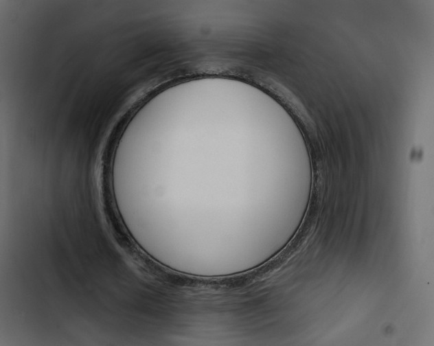 X0000103900626200809191056