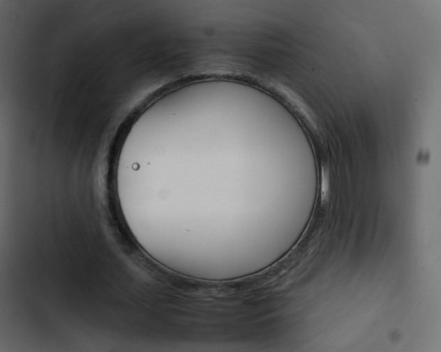 X0000103900627200809191056