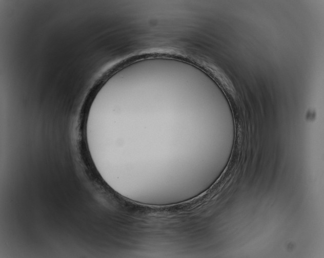 X0000103900628200809191056