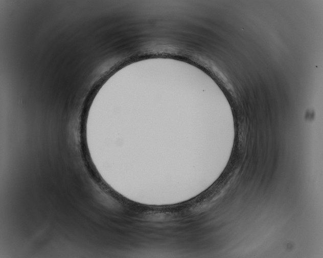 X0000103900629200809191056