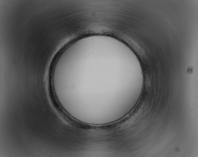 X0000103900630200809191056