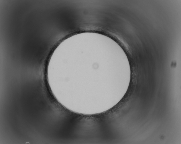 X0000103900631200809191056