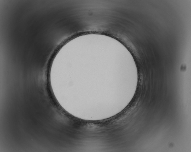 X0000103900632200809191056