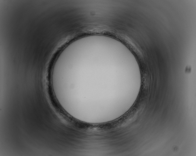 X0000103900634200809191056