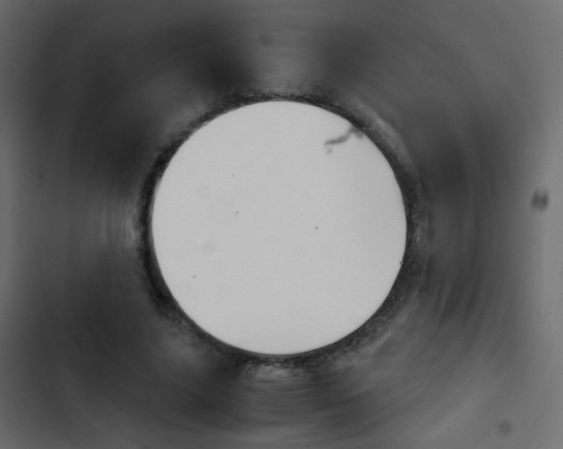 X0000103900635200809191056