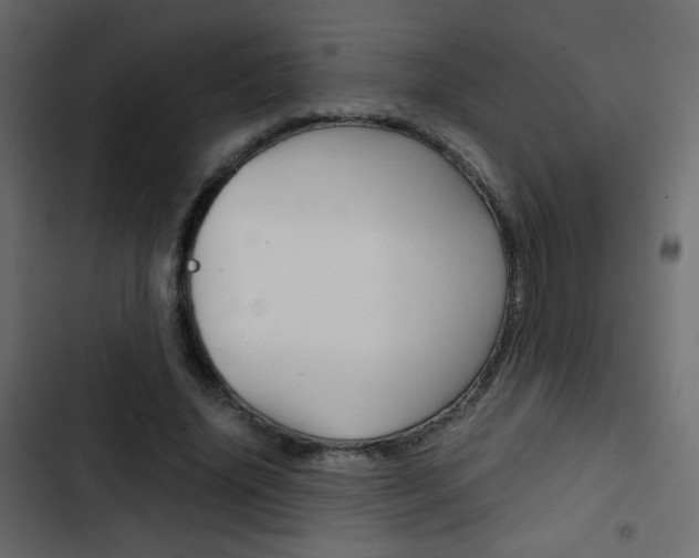 X0000103900636200809191056