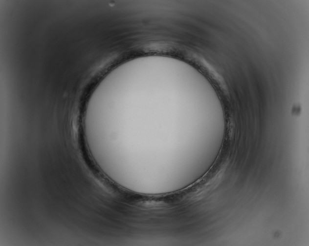 X0000103900637200809191056