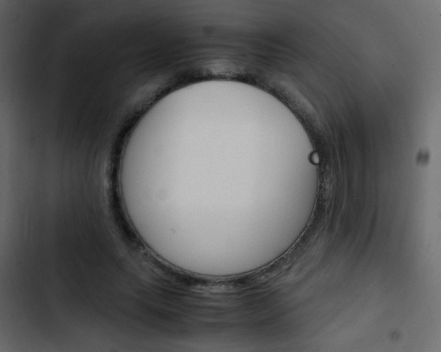 X0000103900639200809191056