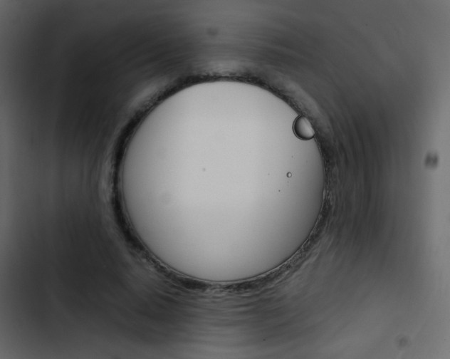 X0000103900640200809191056