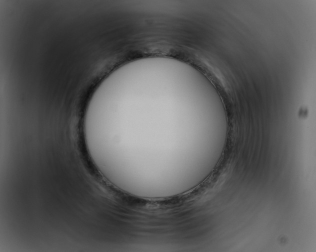 X0000103900641200809191056