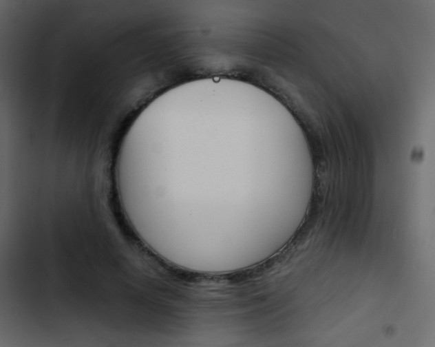 X0000103900642200809191056
