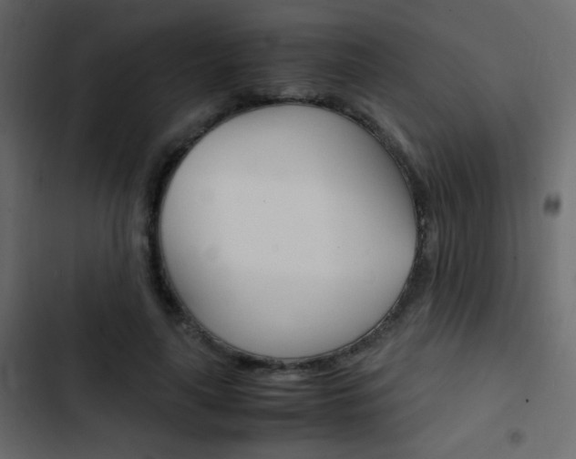 X0000103900643200809191056