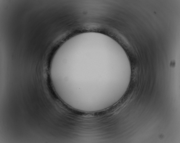 X0000103900644200809191056
