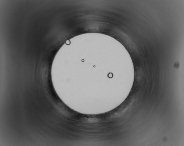 X0000103900645200809191056