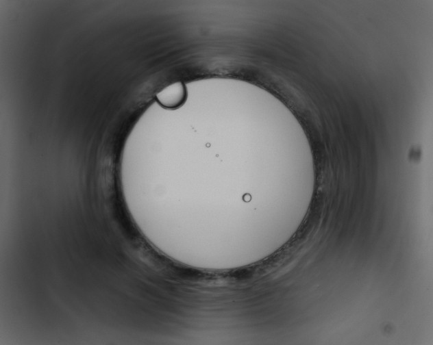 X0000103900646200809191056