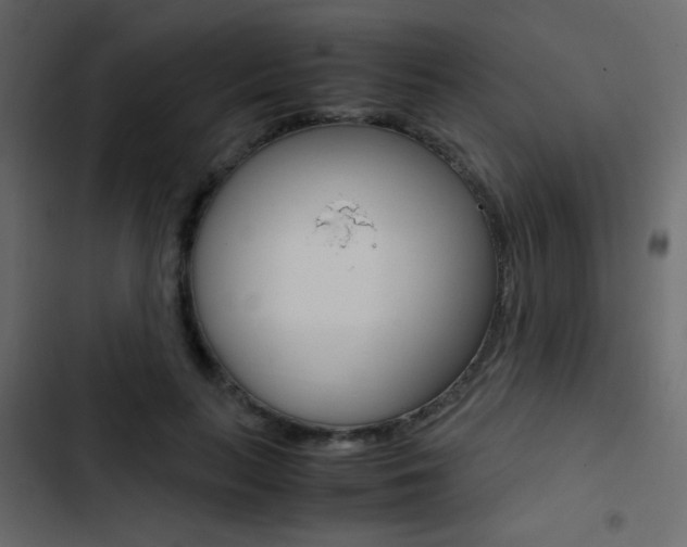 X0000103900647200809191056