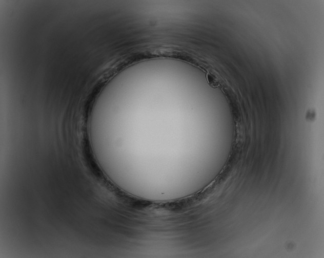 X0000103900648200809191056