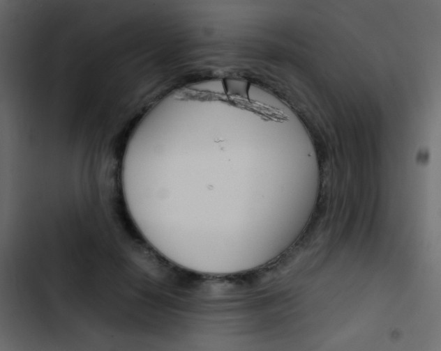 X0000103900650200809191056