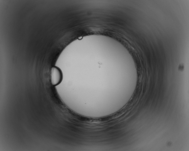X0000103900651200809191056