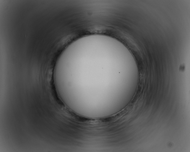 X0000103900652200809191056