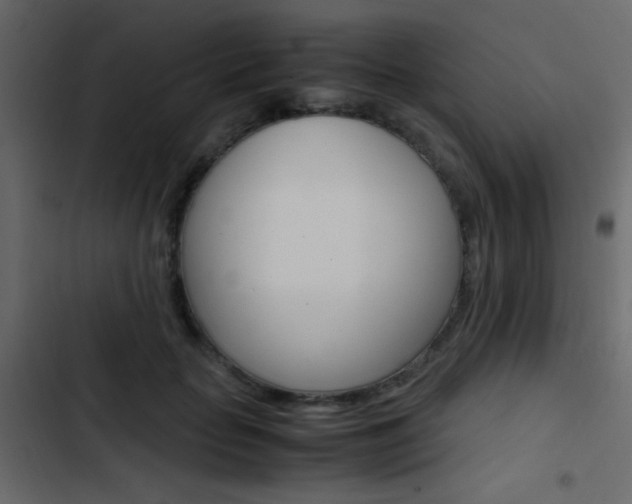 X0000103900653200809191056