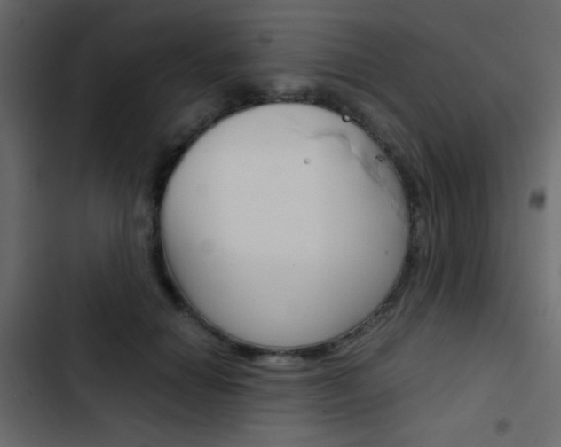 X0000103900654200809191056