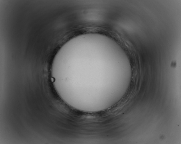 X0000103900655200809191056