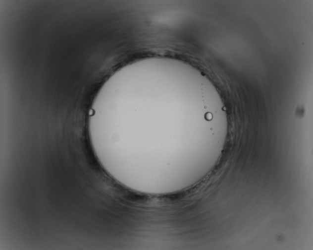 X0000103900656200809191056