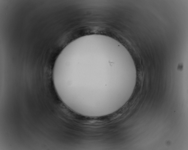 X0000103900657200809191056