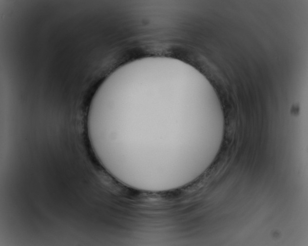 X0000103900658200809191056