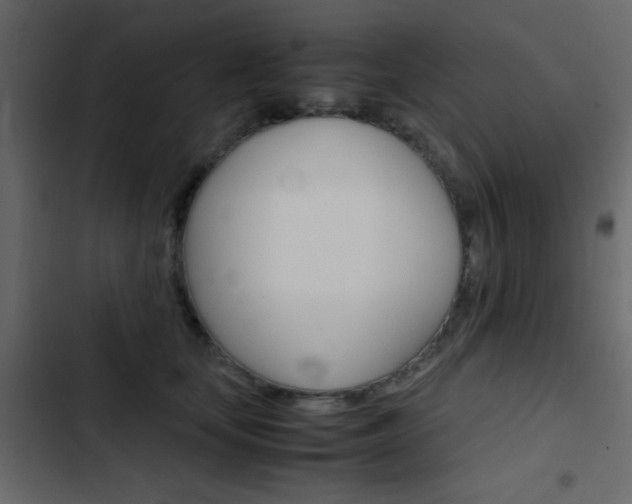 X0000103900659200809191056