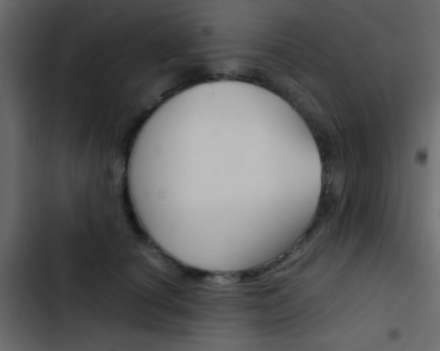X0000103900660200809191056