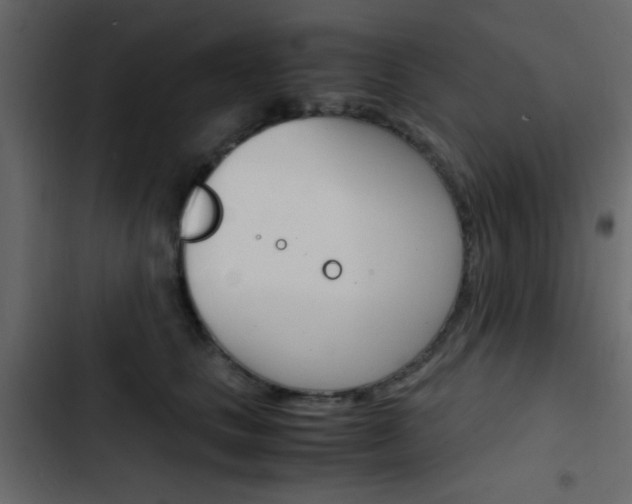 X0000103900661200809191056