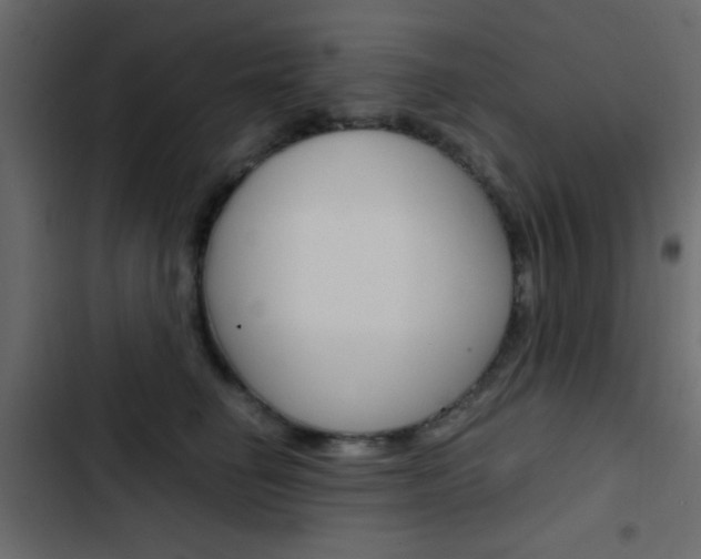 X0000103900662200809191056