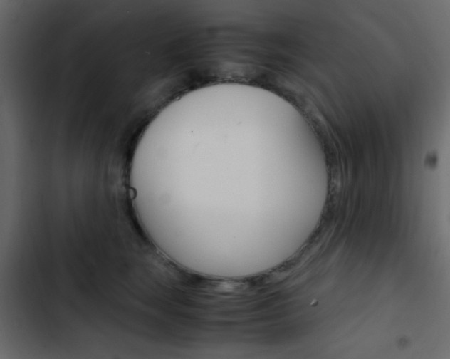 X0000103900663200809191056
