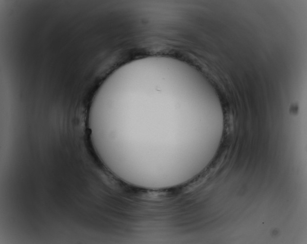 X0000103900664200809191056