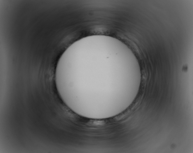 X0000103900665200809191056