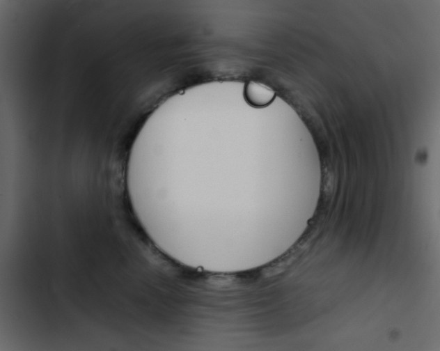 X0000103900666200809191056