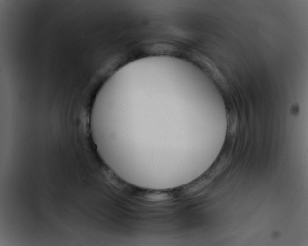 X0000103900669200809191056