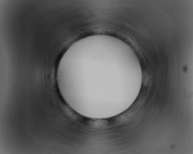 X0000103900670200809191056