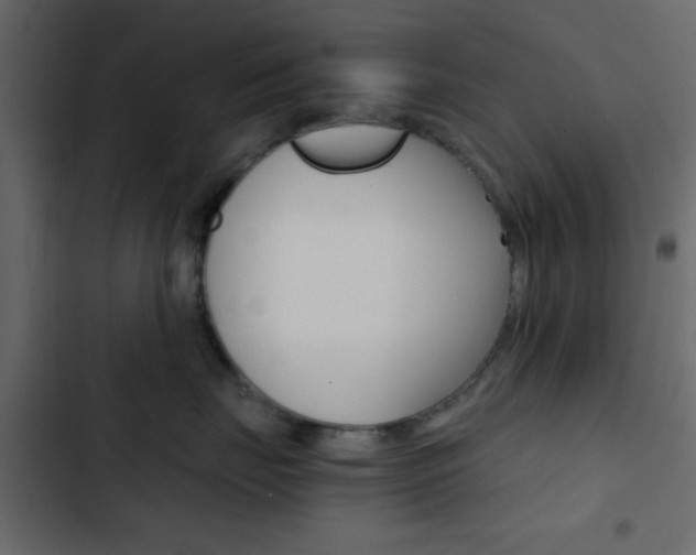 X0000103900671200809191056