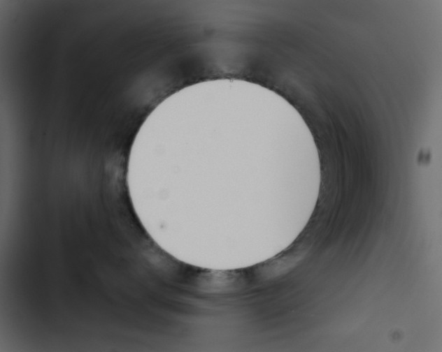 X0000103900672200809191056