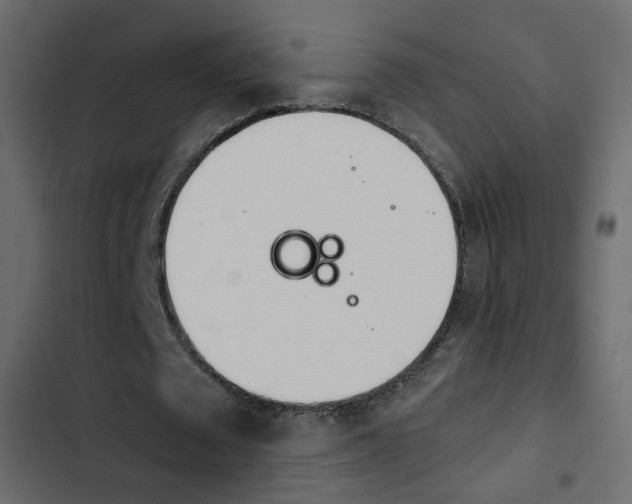 X0000103900673200809191056
