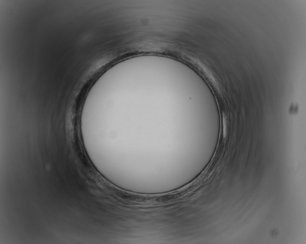 X0000103900675200809191056