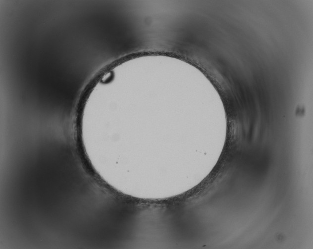 X0000103900676200809191056