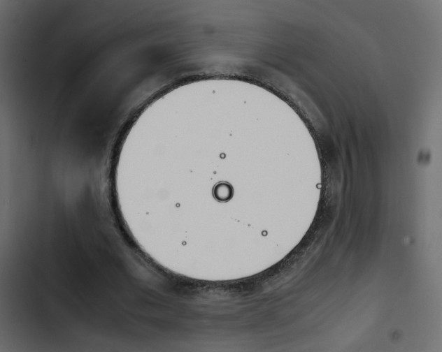 X0000103900677200809191056
